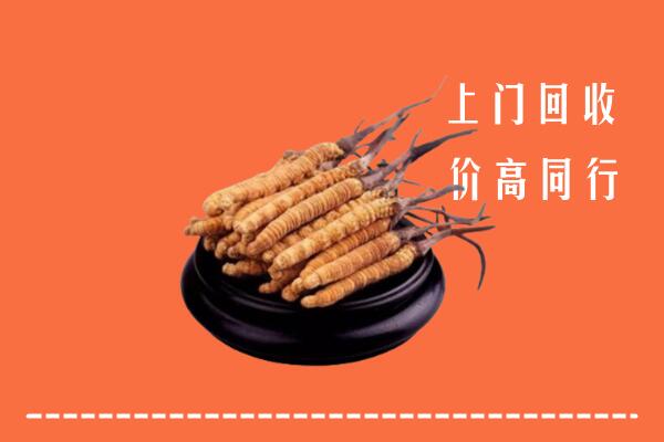 高价求购：达孜区回收散虫草
