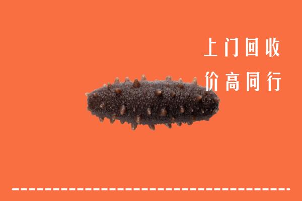 高价求购：达孜区回收海参