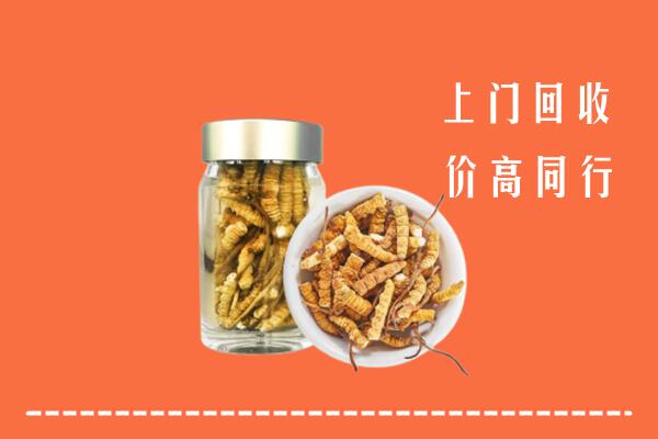 达孜区高价回收冬虫夏草